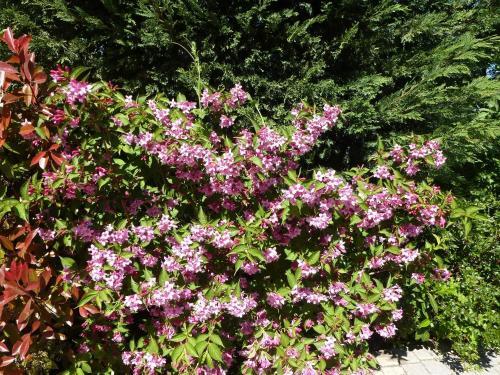 Hostal Chambres D'h�tes Les Terrasses De Fleurieux