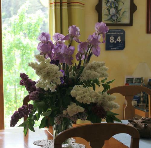 B&B La Borella Casa Conti