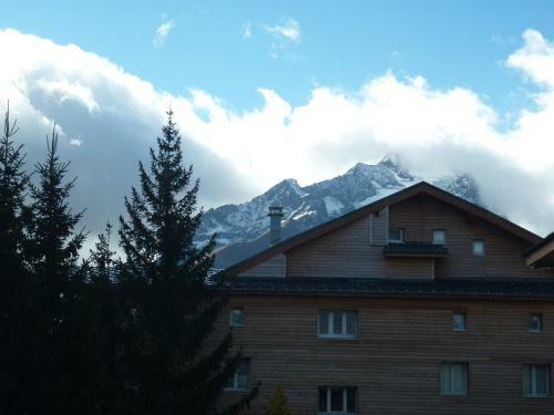 Apartamento Les Myosotis