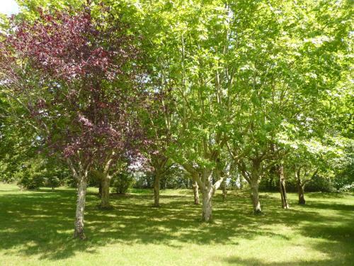 Camping Parc Du Ch�teau D'allot