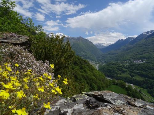 Hotel H�tel La Montagne Fleurie