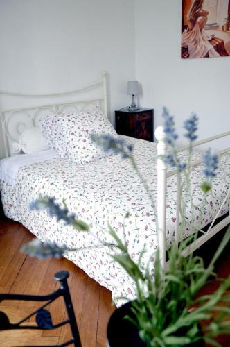 Bed & Breakfast Ch�teau De Matel