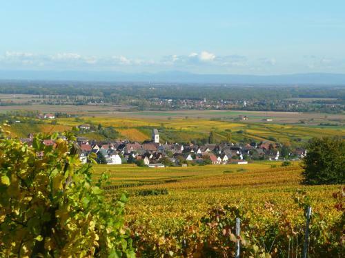 Bed & Breakfast Le Gm Chambres D'h�tes de Charme En Alsace