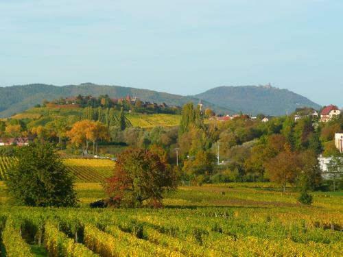 Bed & Breakfast Le Gm Chambres D'h�tes de Charme En Alsace