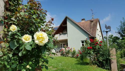 Bed & Breakfast Le Gm Chambres D'h�tes de Charme En Alsace