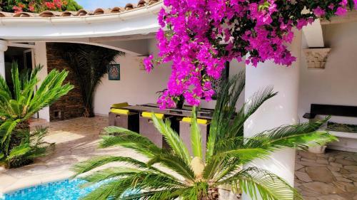 Villa Saray