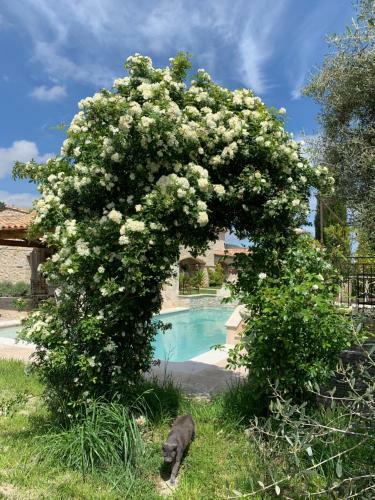 Bed & Breakfast Les 4 �l�ments Maison D'h�tes Design