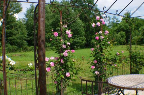 Bed & Breakfast Ch�teau De Pommeuse