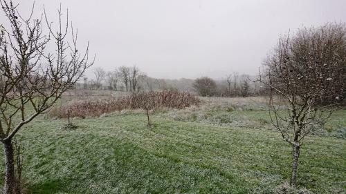 Bed & Breakfast G�tes & Chambres D'h�tes Peyrecout