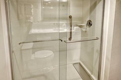 Hotel Hampton Inn And Suites Asheville-i-26