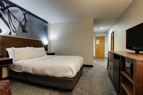 Hotel Holiday Inn Hopkinsville