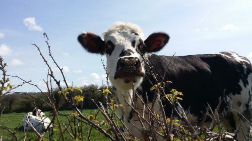 Hotel La Roche Du Marais