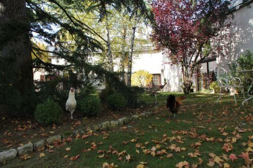 Bed & Breakfast Le Relais De La Tour