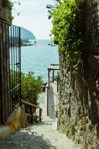 Hotel Umberto A Mare