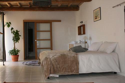 Guesthouse De Cambis B&amp;b
