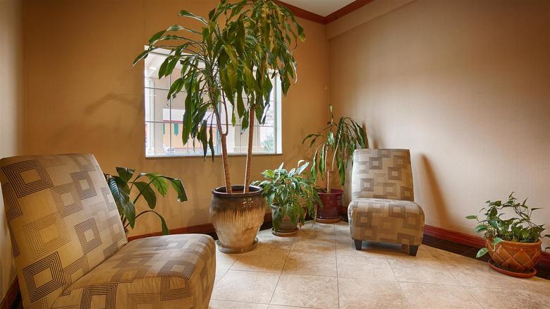 Hotel Best Western Inn & Suites Cleveland