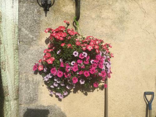 Bed & Breakfast Le Palland