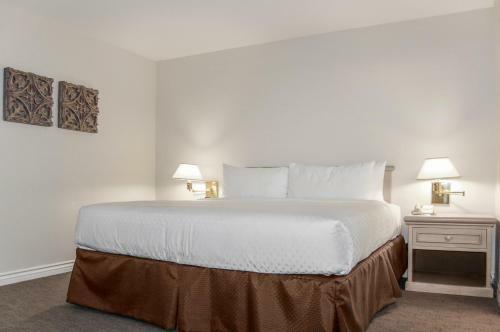 Hotel Riviera Shores Resort