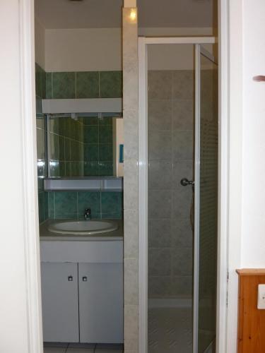 Aparthotel H�tel-r�sidence Le Grillon