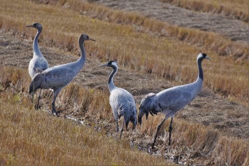 Agroturismo Casa Rural Don �lvaro De Luna