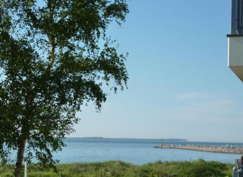 Apartamento Zum H�hnergott