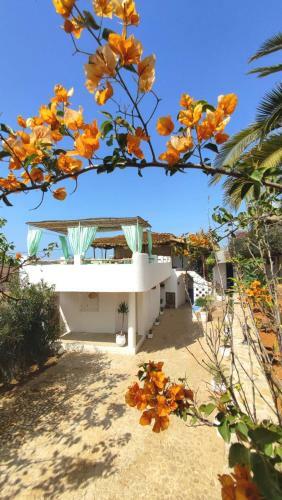 Bed & Breakfast Maison D'hotes Berbari