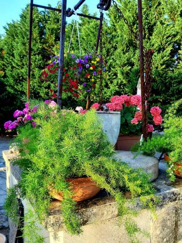 Bed & Breakfast La Nicchiarica