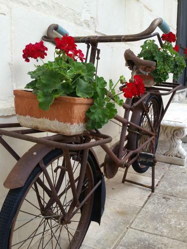 Bed & Breakfast La Nicchiarica