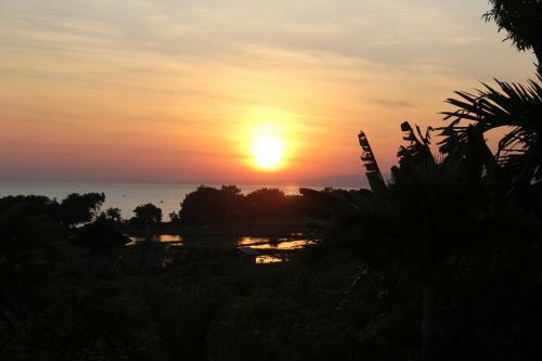 Hostal Villa Lilly