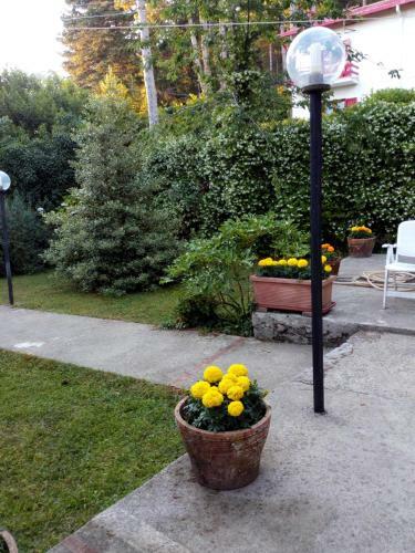 Bed & Breakfast Al Castagno