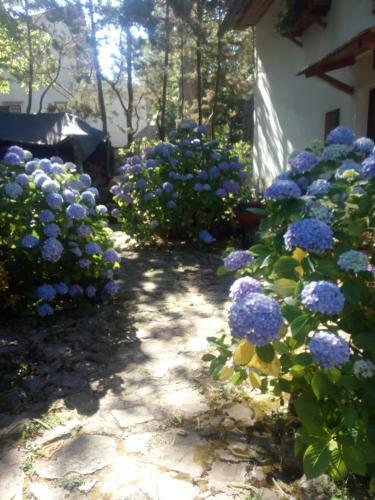 Bed & Breakfast Al Castagno