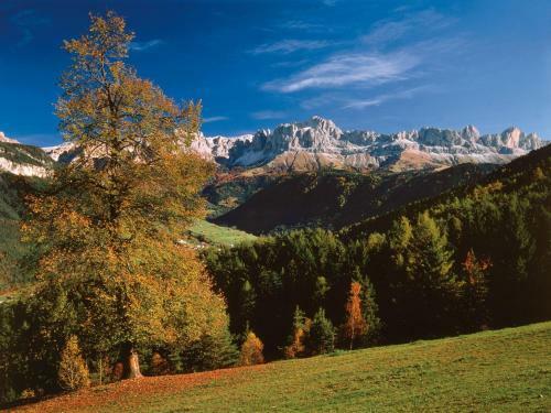 Hotel Linde