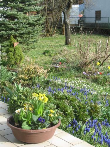 Apartamento Haus Antlinger
