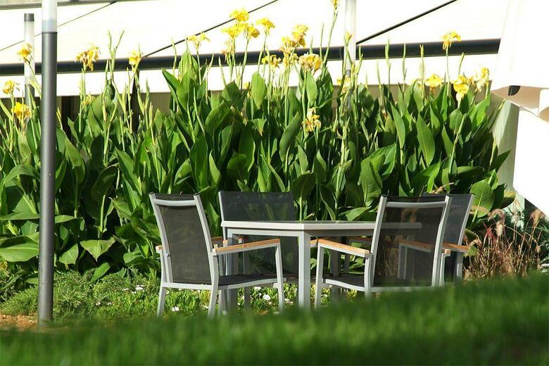 Hotel Isla Mallorca & Spa