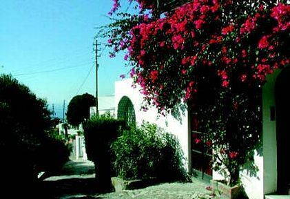Hotel Senaria