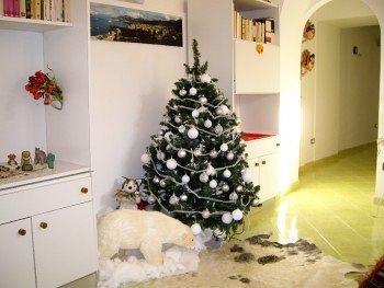 Bed & Breakfast Il Tulipano
