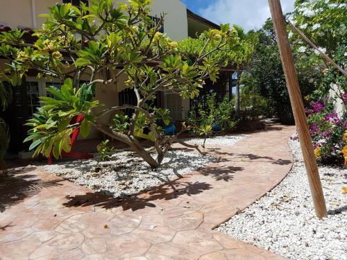 White Beach Apartments Noord/eagle Beach