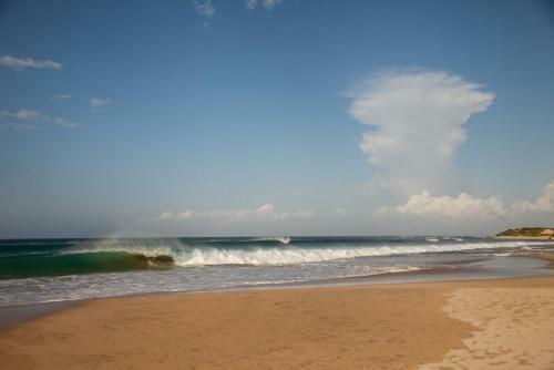 Hostal Palm Beach Guesthouse