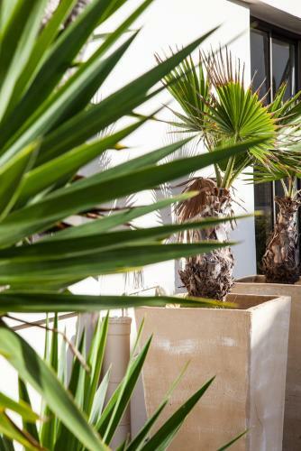 Hostal Palm Beach Guesthouse