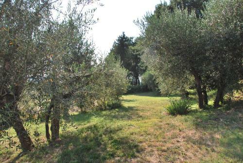 Apartamento Le Valli Lavanda