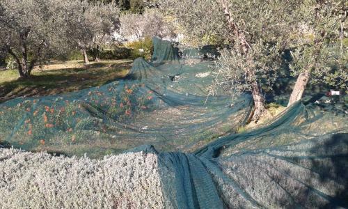 Apartamento Le Valli Lavanda