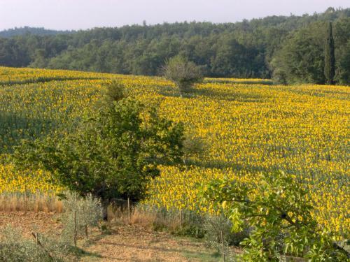 Agroturismo Agriturismo Natura E Salute