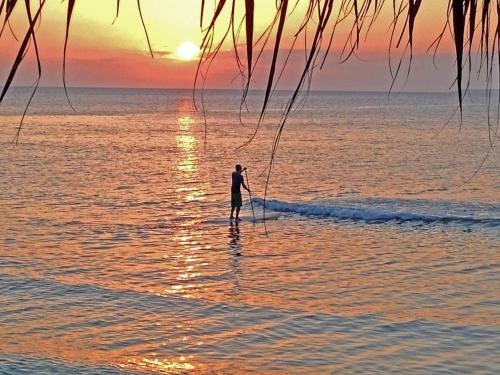 Hotel Coco Beach Resort