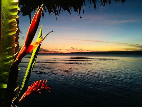 Hotel Coco Beach Resort