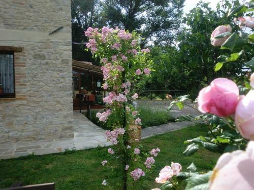 Agroturismo Casa Vacanze Il Piccolo Noce