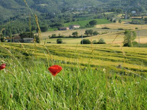 Agroturismo Casa Vacanze Il Piccolo Noce