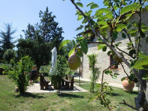 Agroturismo Casa Vacanze Il Piccolo Noce