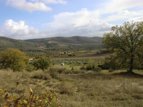 Agroturismo Casa Vacanze Il Piccolo Noce