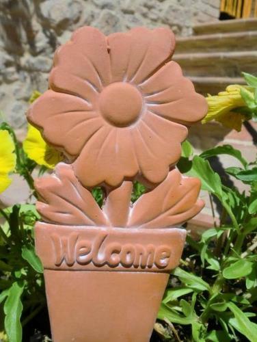 Agroturismo Casa Vacanze Il Piccolo Noce