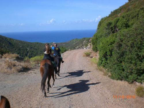 Centro Di Turismo Equestre B&B Shangril�